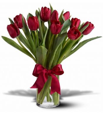  red tulips vase